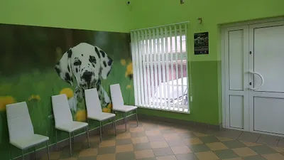 Przychodnia Weterynaryjna ''Reksio'' Ełk